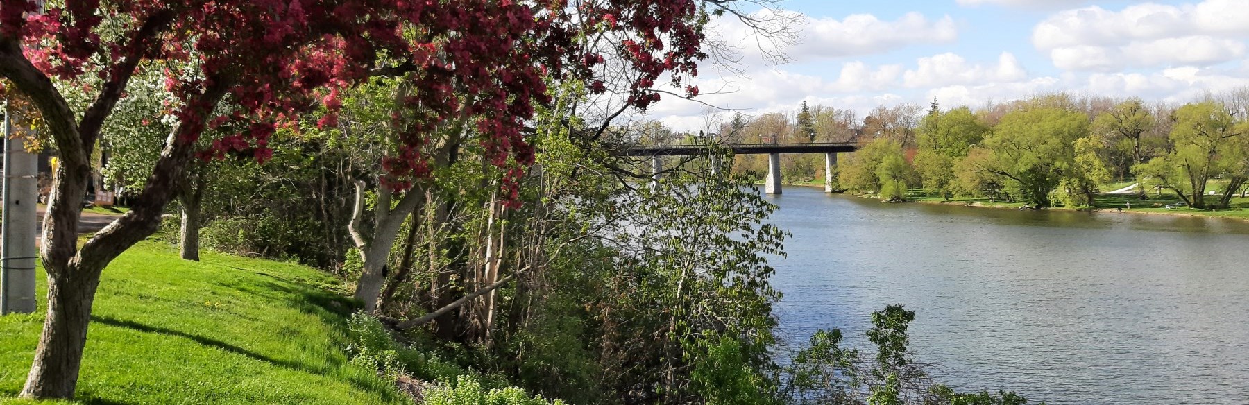 Trestle bridge over water from a distance