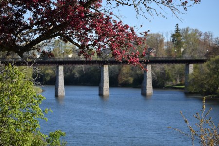 Trestle bridge over river from a distance