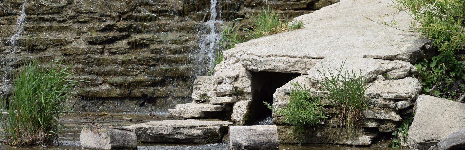 Fish ladder on the Thames River