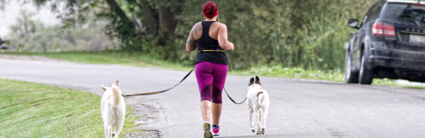 Woman jogging with dogs