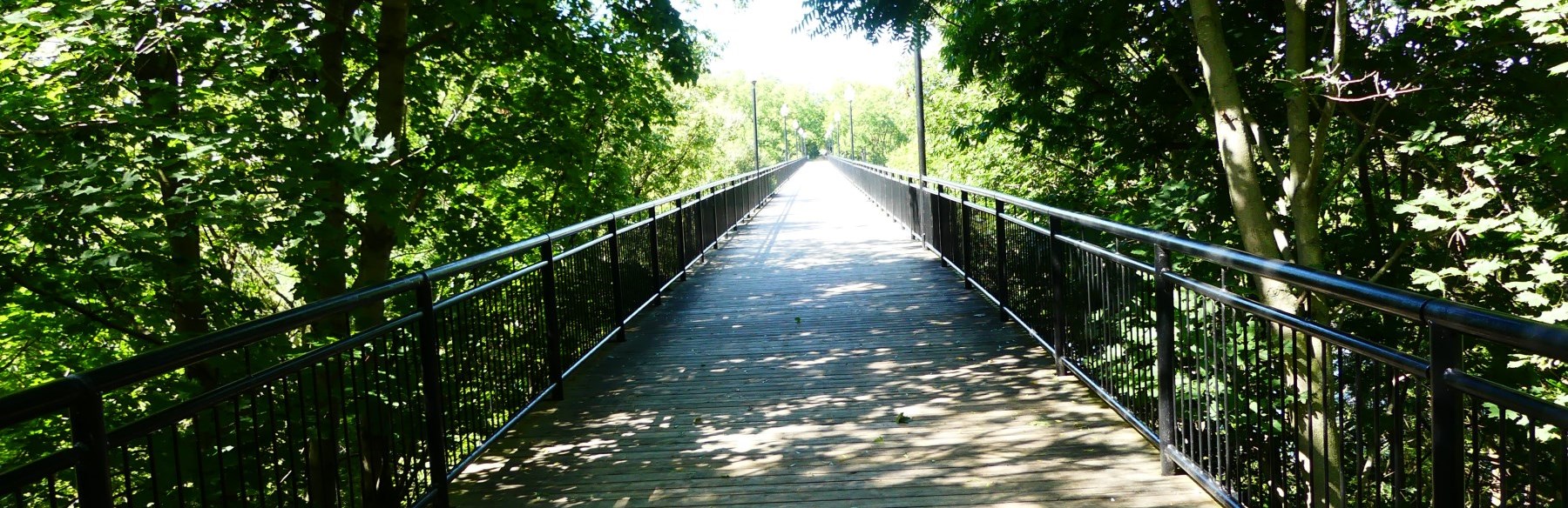 Trestle bridge and trees in summer