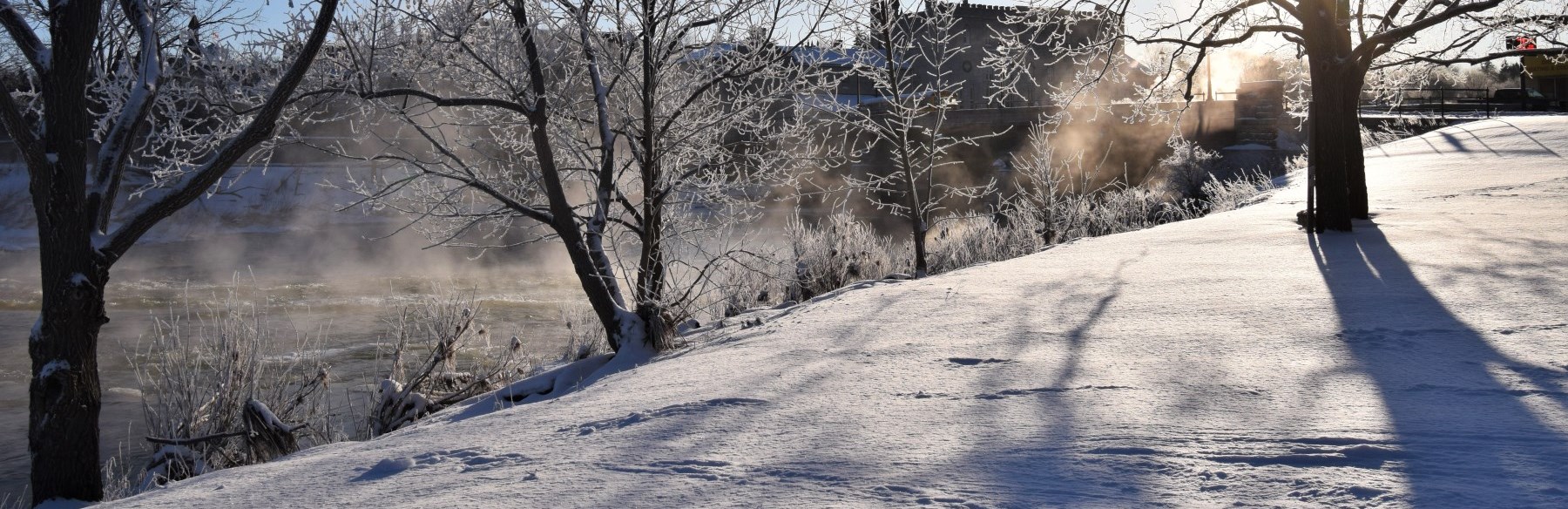 Snow covered trees in winter beside river