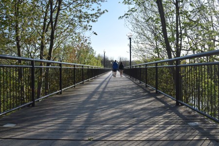 Family walking on a trestle bridge