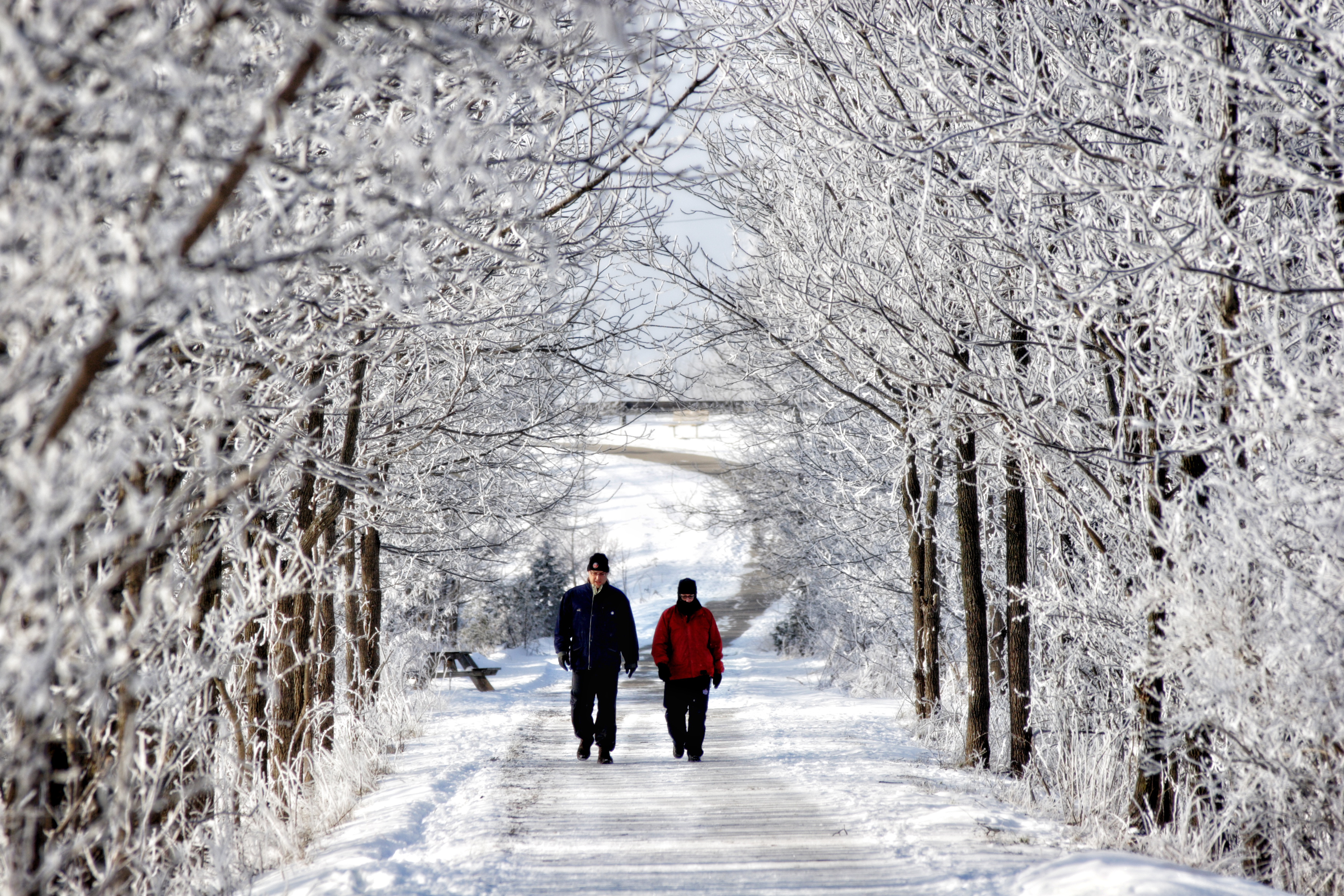 People walking on snowy trail