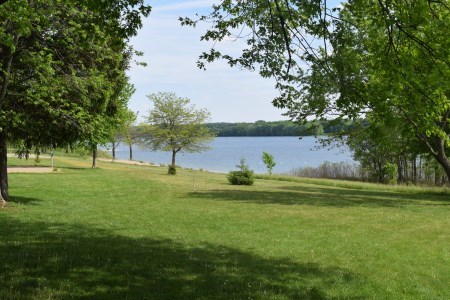 Conservation area green space overlooking trees and water