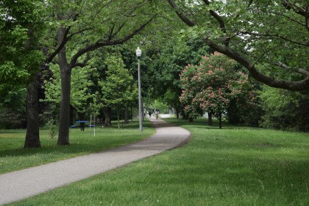 Walkway through a park